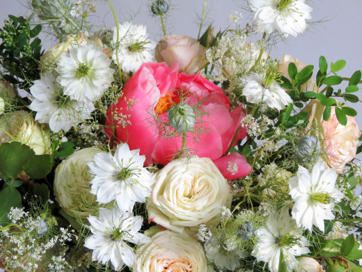 870803 (a): :2600x1950